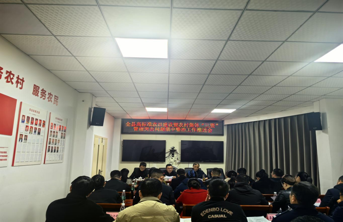 图片123