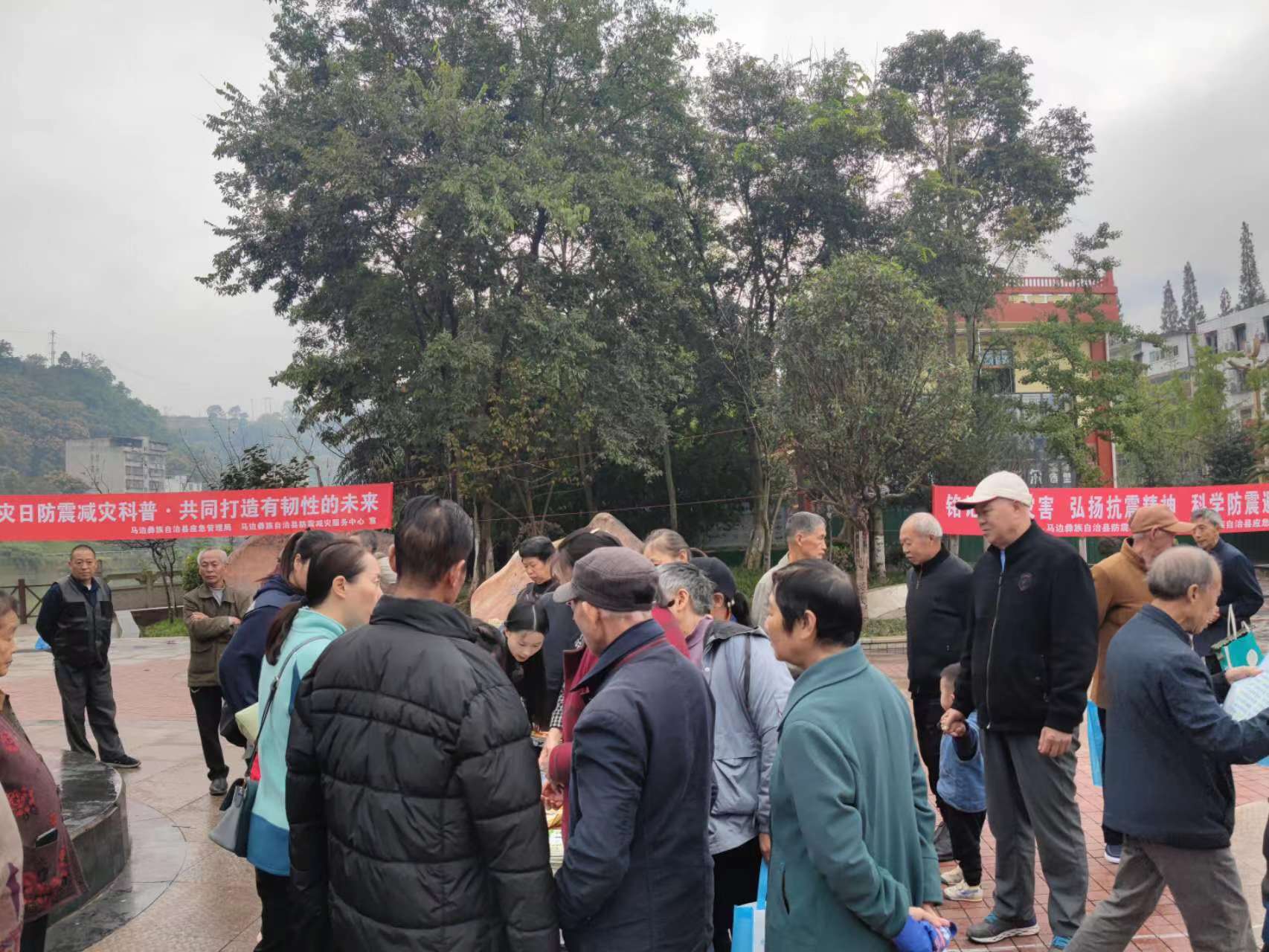 图片3