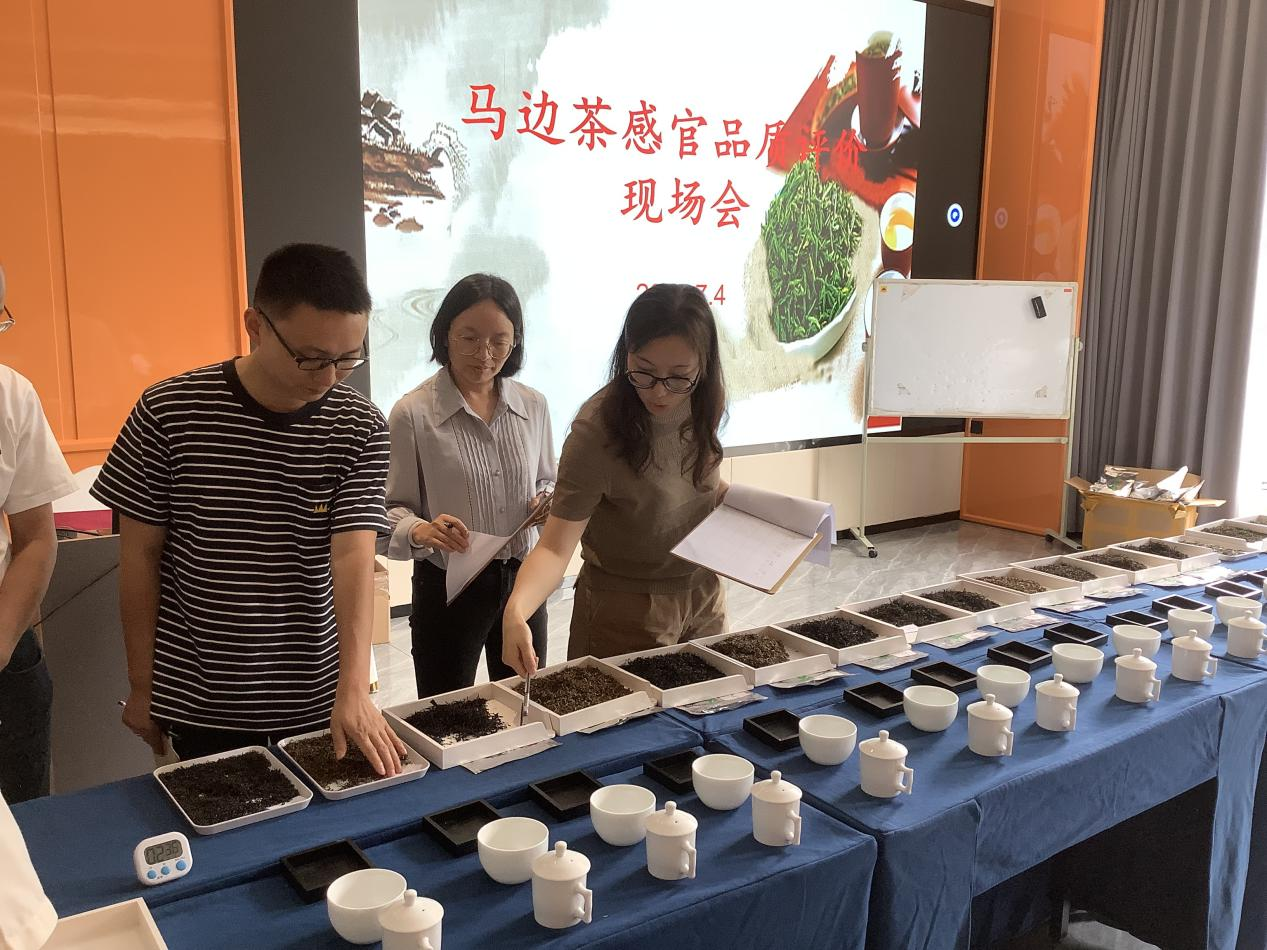 图片5