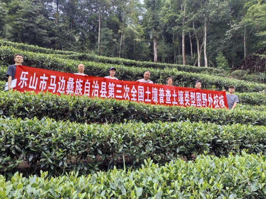 图片14