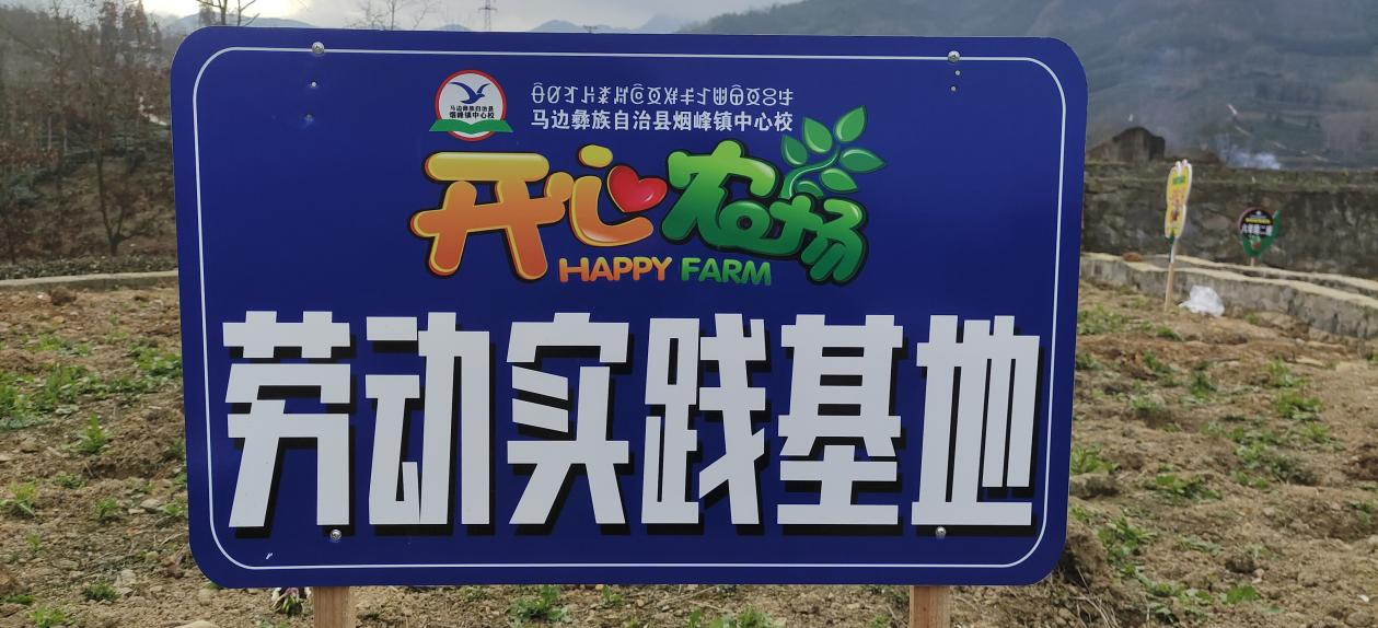 图片18