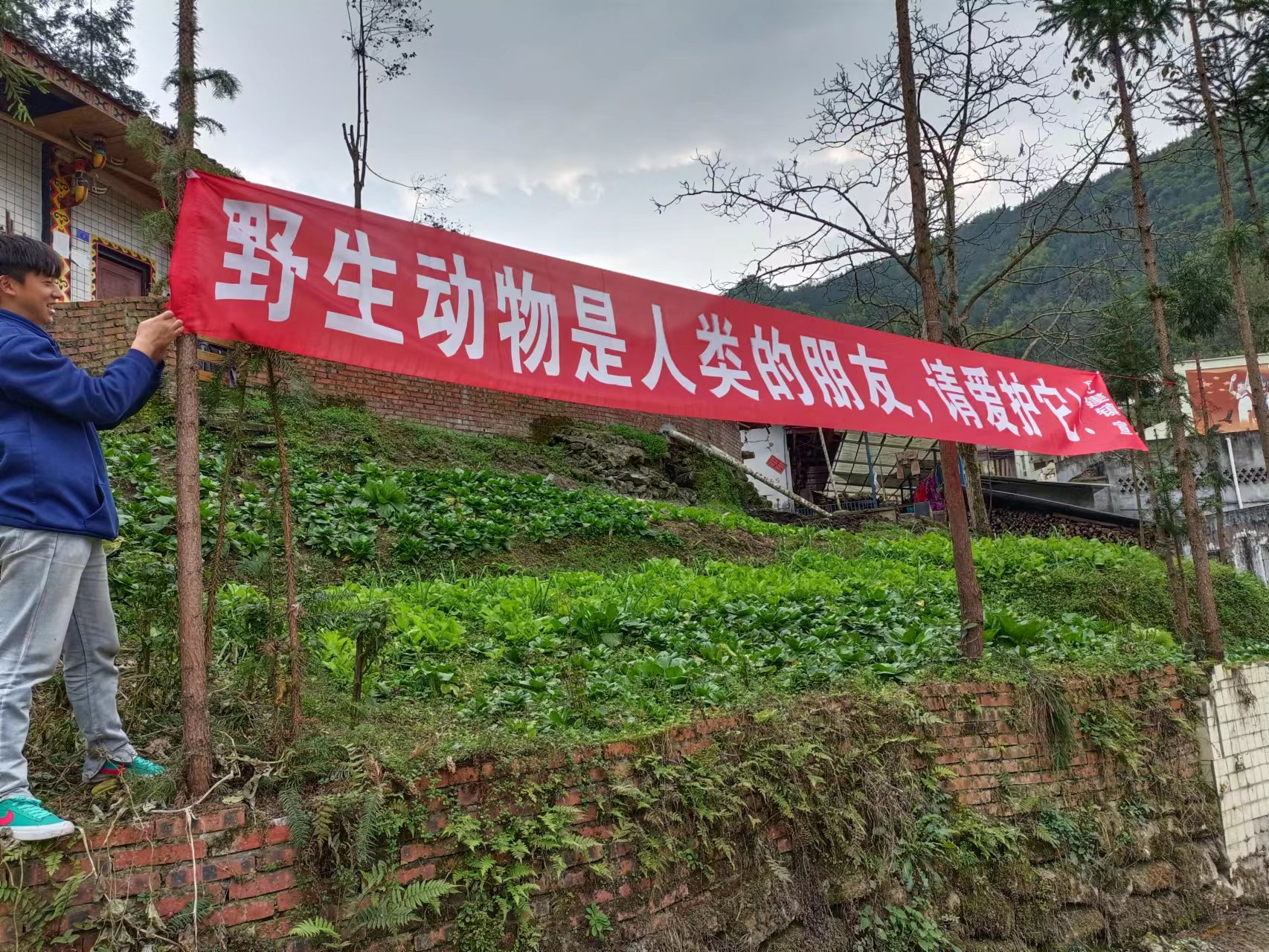 图片1