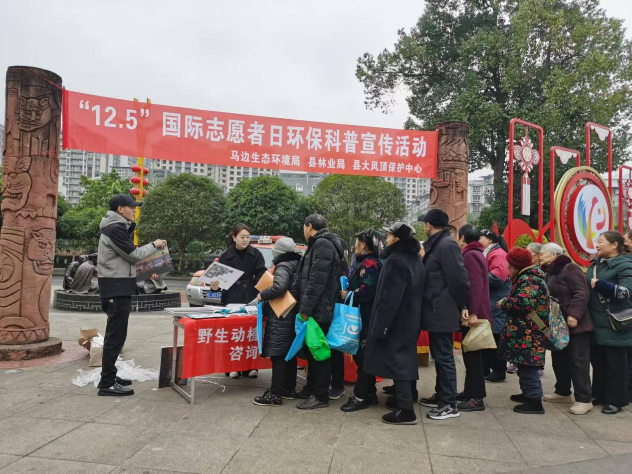 图片2