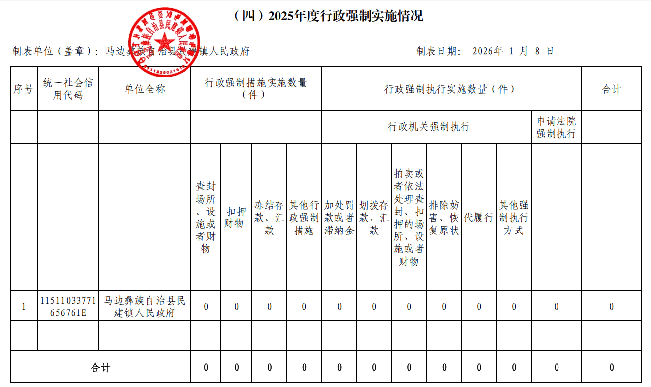 （四）2025年度行政强制实施情况