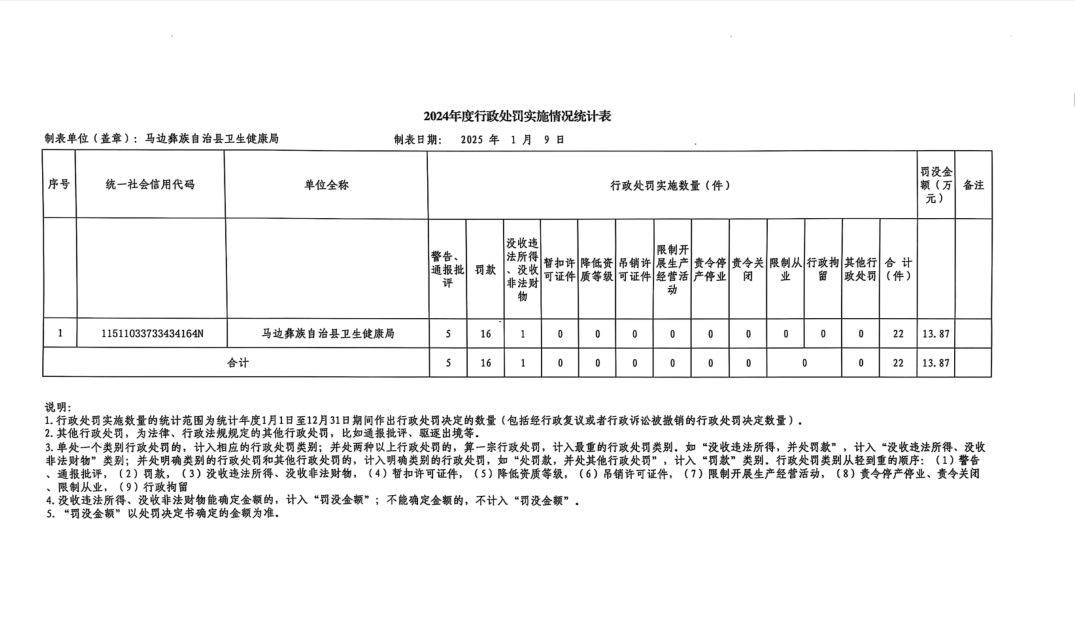 2024年度行政处罚实施情况统计表